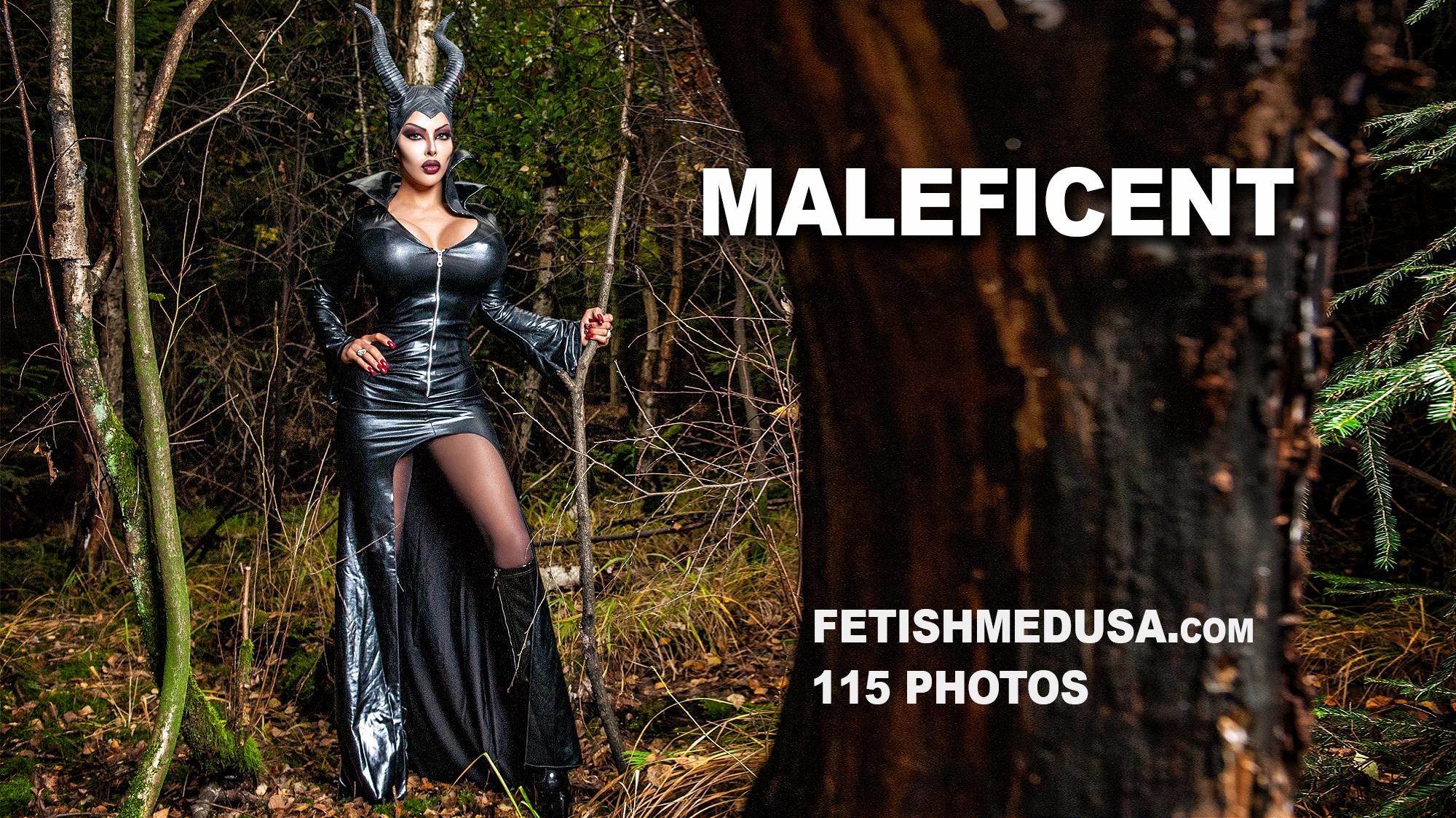 040 - Maleficent Cover 1.jpg